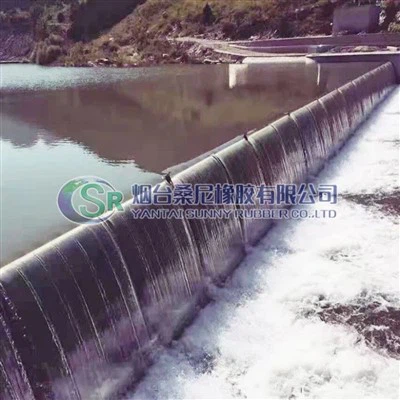 Опорная плотина подушки безопасности для контроля воды